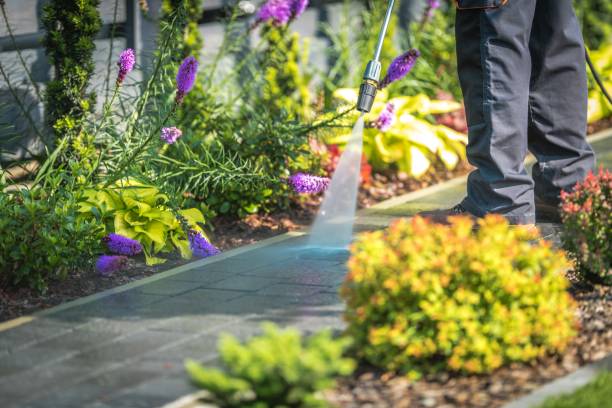 Best Fence Cleaning  in Hobart, WI
